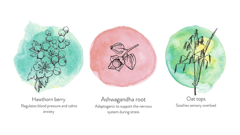 Rested Resilience Chai Latte Blend