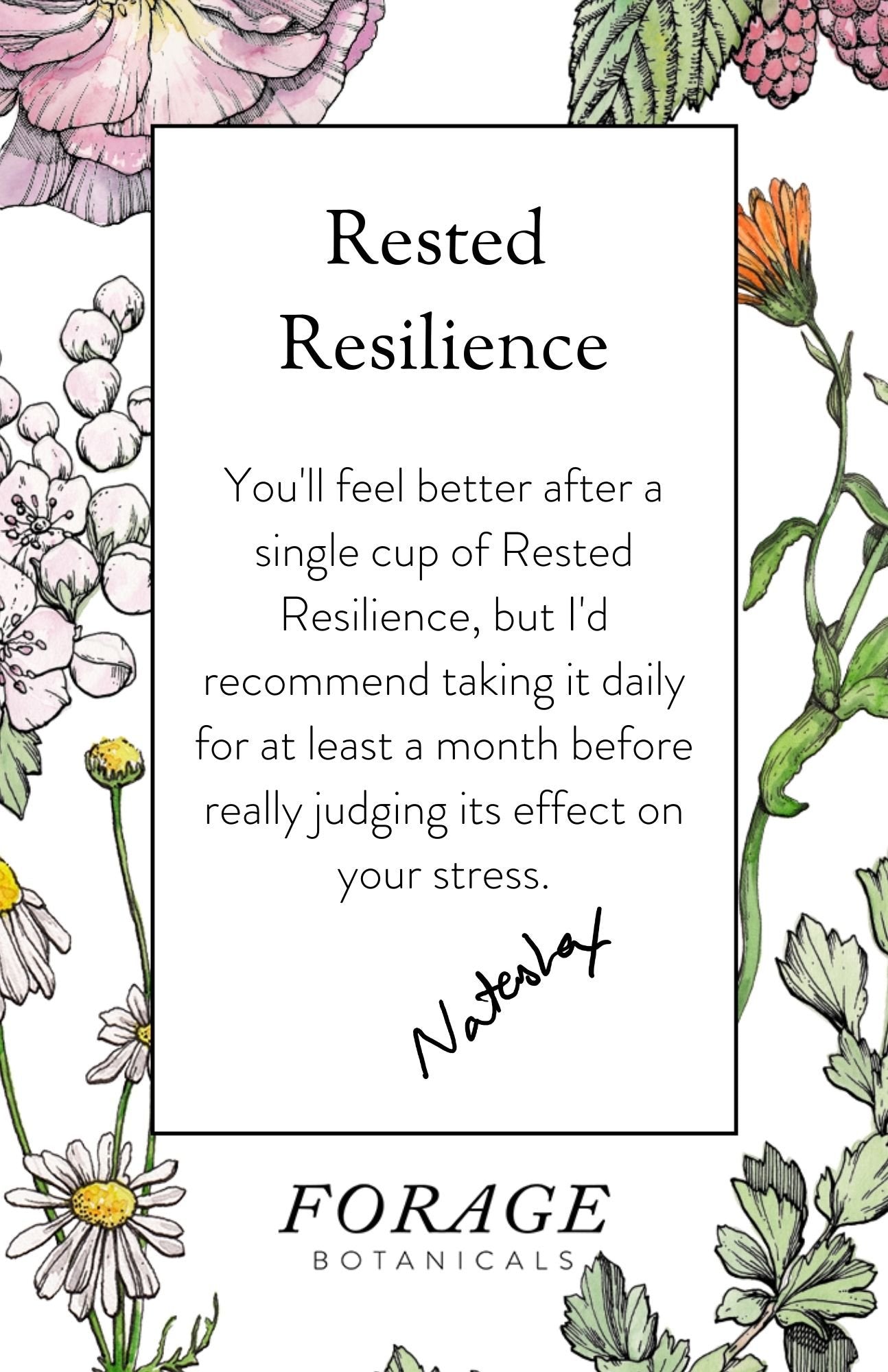Rested Resilience Chai Latte Blend