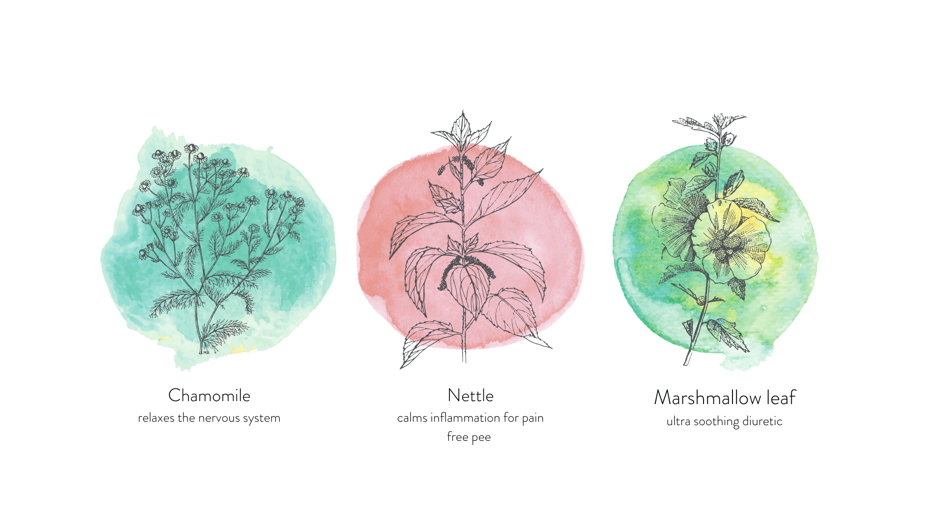 Soothe + Comfort Tea - Periodical Powers